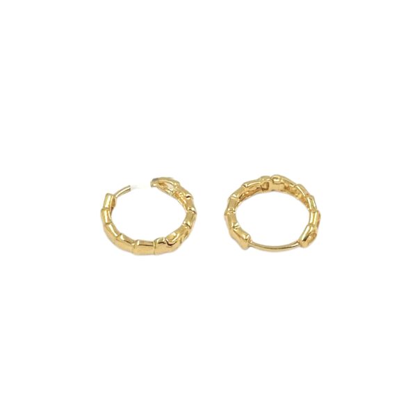 EARRINGS 21K